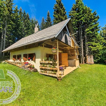 Mountain Eco Chalet Konjska Dolina On 1400 M Asl -Near Pokljuka Srednja Vas v Bohinju Extérieur photo