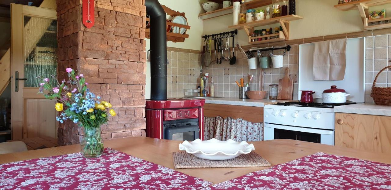 Mountain Eco Chalet Konjska Dolina On 1400 M Asl -Near Pokljuka Srednja Vas v Bohinju Extérieur photo