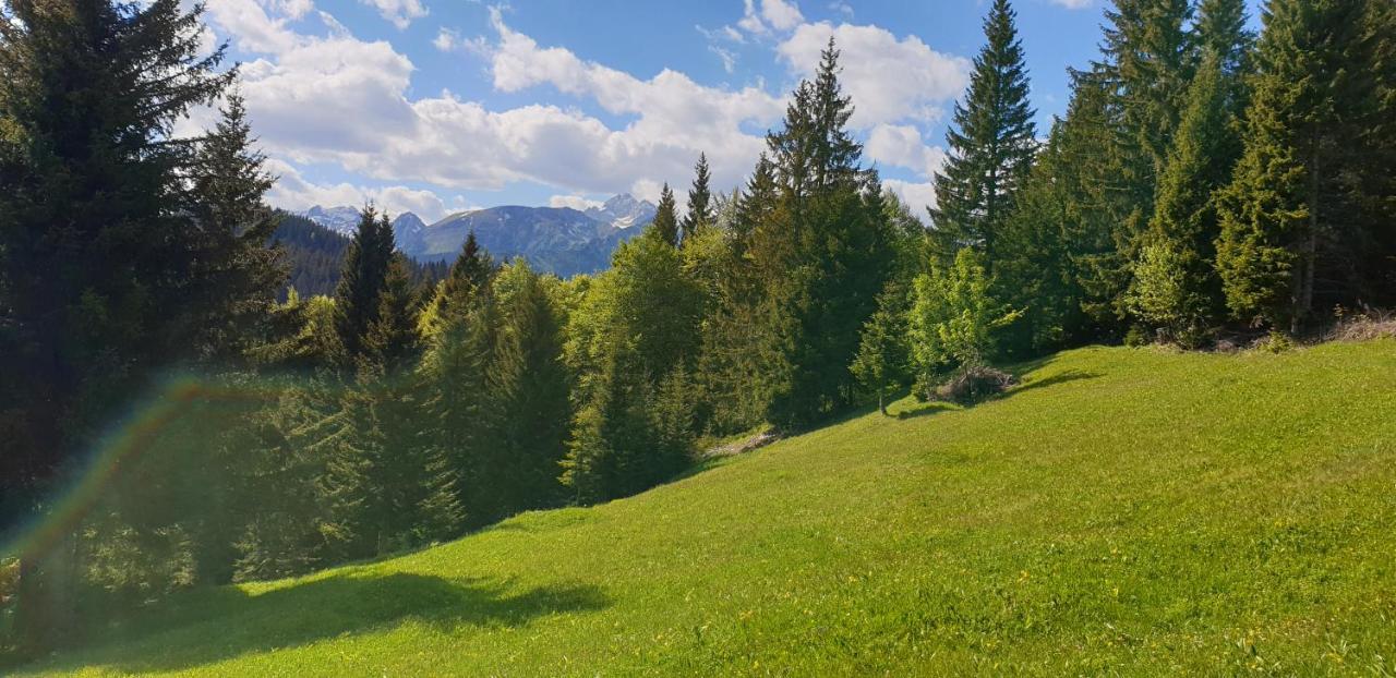 Mountain Eco Chalet Konjska Dolina On 1400 M Asl -Near Pokljuka Srednja Vas v Bohinju Extérieur photo