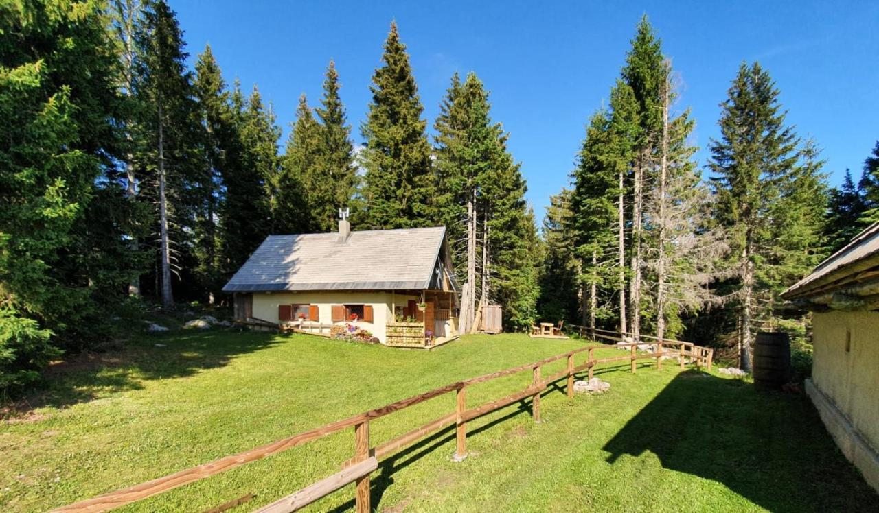 Mountain Eco Chalet Konjska Dolina On 1400 M Asl -Near Pokljuka Srednja Vas v Bohinju Extérieur photo