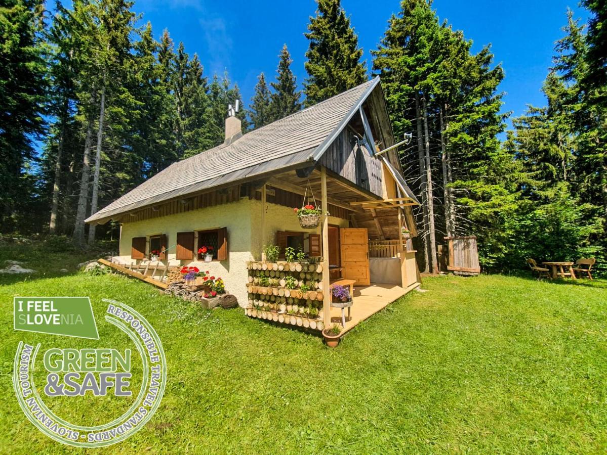 Mountain Eco Chalet Konjska Dolina On 1400 M Asl -Near Pokljuka Srednja Vas v Bohinju Extérieur photo